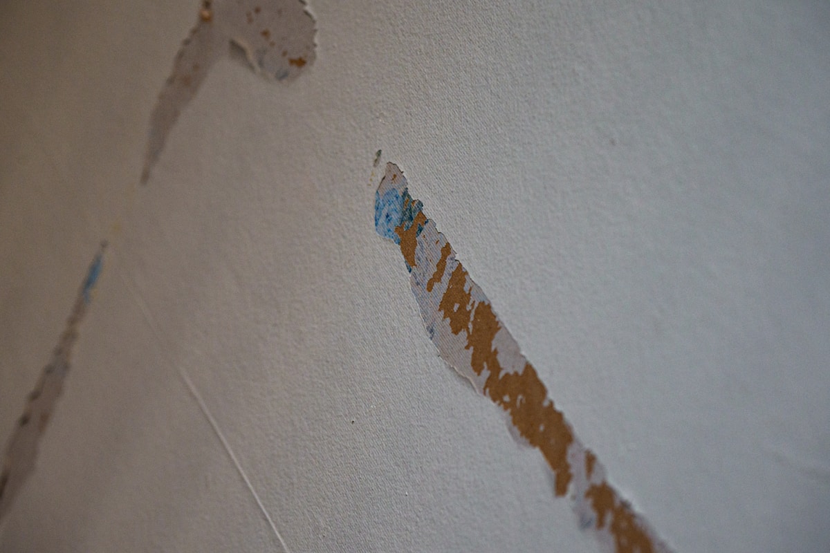 Mold Remediation service in Pleasanton, CA